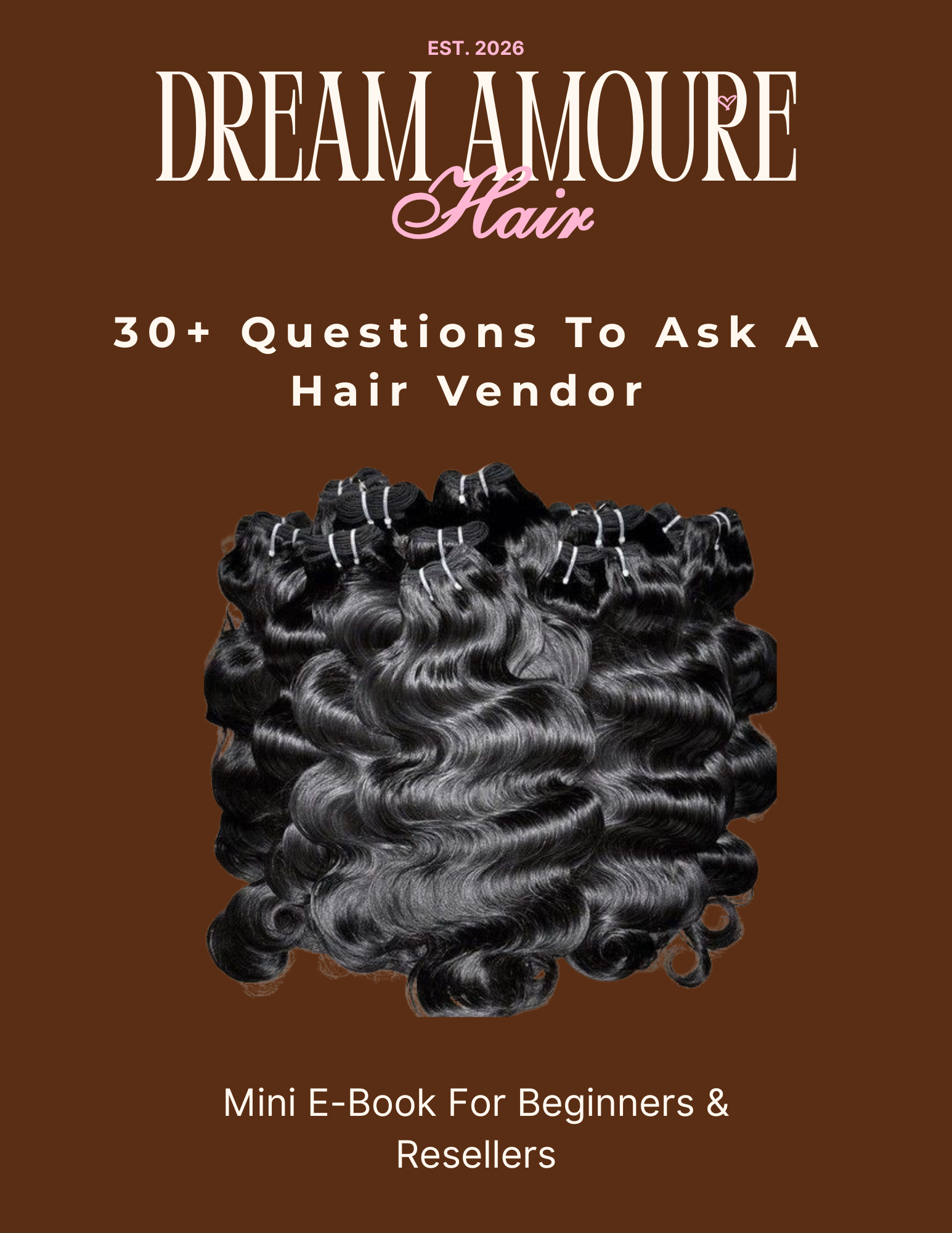 What Questions to ask vendors? Mini E-Book